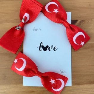 İSTWER YAKA İGNESİ İSTERSENİZ PAPYON İGNELİ BAYRAK