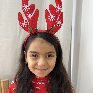 NOEL GEYİK TAÇ