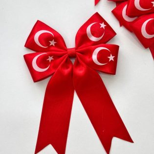 23 NİSAN BAYRAKLI PENS TOKA